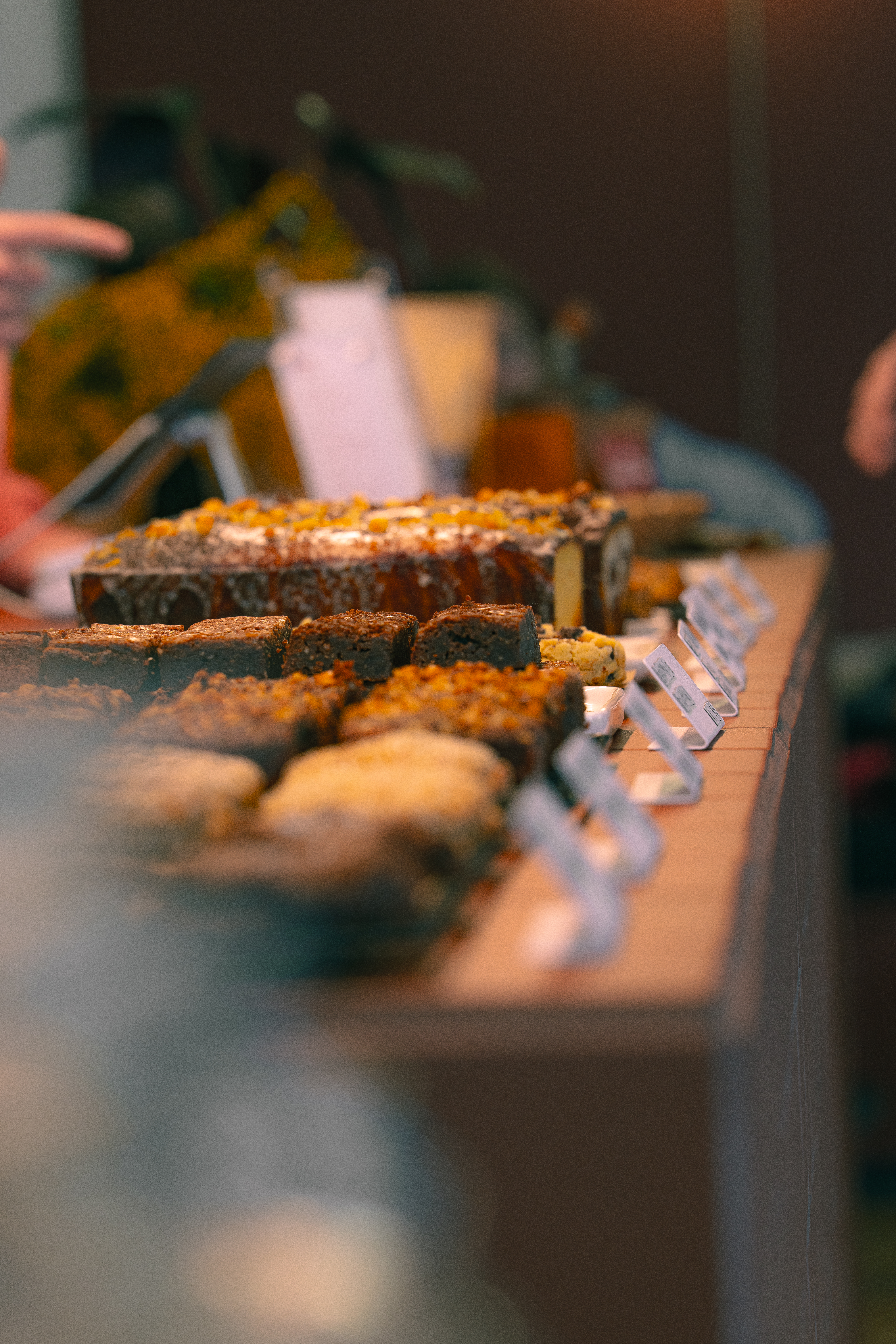 Édition Saint-Valentin 2026 – créations exposées